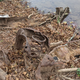 Image for article titled I Found A Car Buried In A Texas Riverbed. Can You Identify It With These Clues?